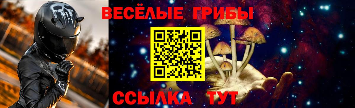 Псилоцибиновые грибы Psilocybe  Вход с VPN  закладки  Шадринск 